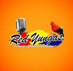 Red Yungas