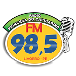 Rádio Princesa do Capibaribe