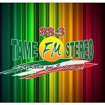 Tame FM Stereo