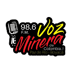 Voz Minera de Colombia