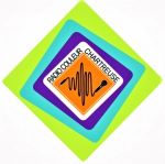 Radio Couleur Chartreuse