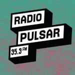 Radio Pulsar