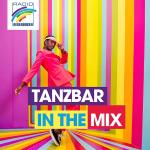Radio Regenbogen Tanzbar in the Mix