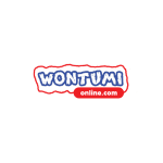 Wontumi Radio