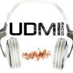 UDMI