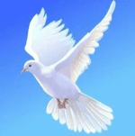 Rafiki-Farm Main Altar