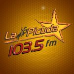 La Más Picuda Papantla