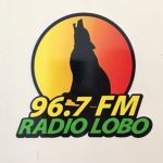 Radio Lobo