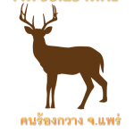 คนร้องกวาง FM95.25MHZ แพร่