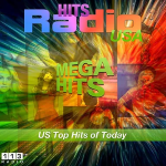 113.FM Hits USA (Top 40 / Hits)