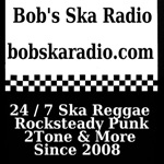 Bob\'s SKA Radio