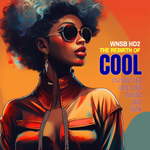 WNSB HD2 The Rebirth of Cool